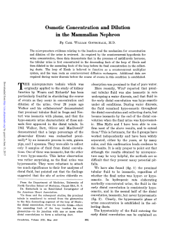 Osmotic Concentration and Dilution in the Mammalian Nephron