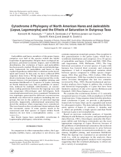 Cytochrome b Phylogeny of North American Hares and Jackrabbits