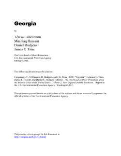 Georgia Sea Level