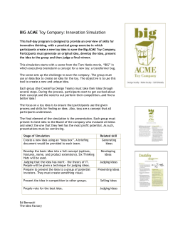BIG ACME Toy Company: Innovation Simulation