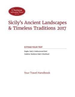 the Travel Handbook