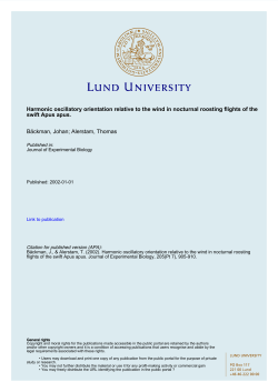 Harmonic oscillatory orientation relative to the wind in nocturnal