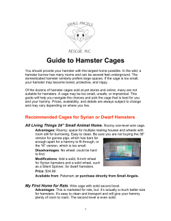 Guide to Hamster Cages
