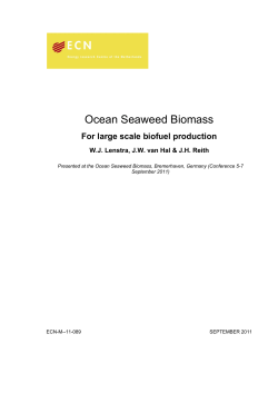 Ocean Seaweed Biomass