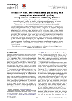 Predation risk, stoichiometric plasticity and ecosystem elemental