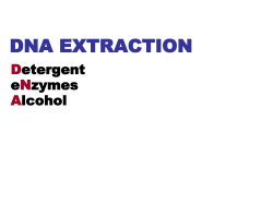 dna extraction - Biology for Life