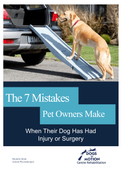 get the guide - Dogs In Motion