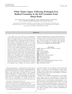 White Matter Injury Following Prolonged Free Radical