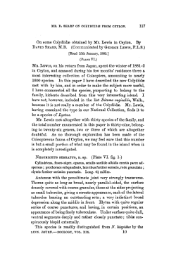 On some Colydiid obtained by Mr. Lewis in Ceylon.