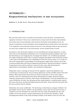 Intermezzo I: Biogeochemical mechanisms in wet ecosystems (1.34