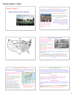 Brinkley Chapter 11 Notes 1