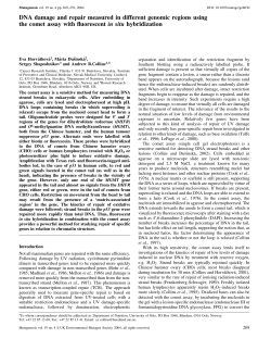 DNA damage and repair measured in different genomic regions