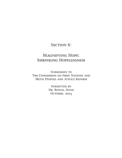 Section 6: Magnifying Hope: Shrinking Hopelessness