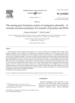 The mating pair formation system of conjugative plasmids&mdash;A