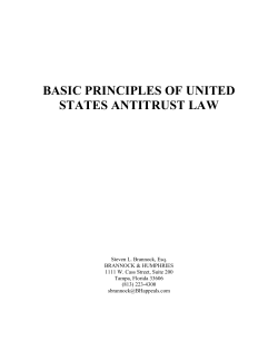basic principles of united states antitrust law - ABC