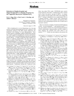 Hydrolysis of Double-Stranded and Single