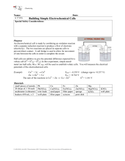 Building Simple Electrochemical Cells