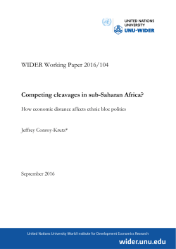 WIDER Working Paper 2016/104 Competing cleavages in sub