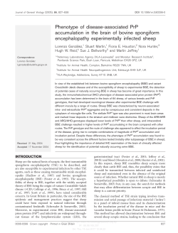 Phenotype of disease-associated PrP accumulation in the brain of