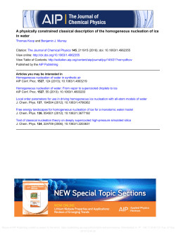 A physically constrained classical description of the homogeneous
