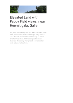 Elevated Land with Paddy Field views, near Heenatigala, Galle
