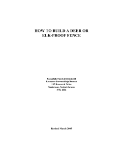 HOW TO BUILD A DEER OR ELK