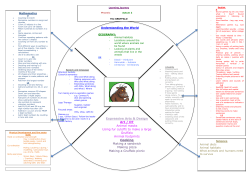 Phoenix Learning Journey Autumn 2 2015 PDF File