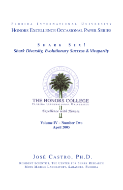 Dr. Jose Castro: Excellence Lecture Paper Spring 2005