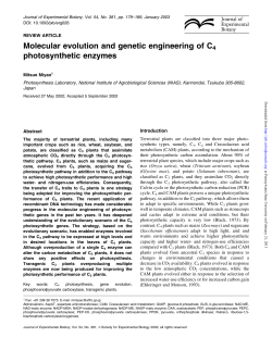 Molecular evolution and genetic engineering of C4 photosynthetic