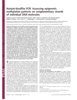 Hairpin-bisulfite PCR - University of Washington