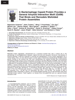 A Bacteriophage Capsid Protein Provides a General Amyloid