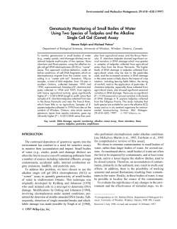 Genotoxicity monitoring of small bodies of water using two species