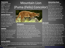 Kingdom: Animalia Phylum: Chordata Class: Mammalia Order