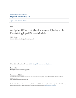 Analysis of Effects of Shockwaves on Cholesterol