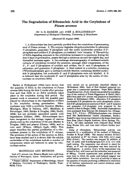 The Degradation of Ribonucleic Acid in the Cotyledons of