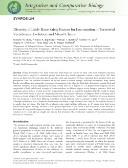 Diversity of Limb-Bone Safety Factors for Locomotion in Terrestrial