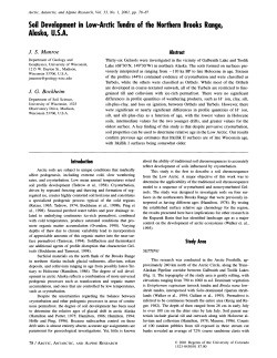 Soil Development in Low-Arctic Tundra of the Northern Brooks