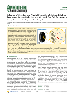 Influence of Chemical and Physical Properties of Activated Carbon