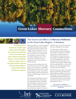 The Extent and Effects of Mercury Pollution in the Great Lakes