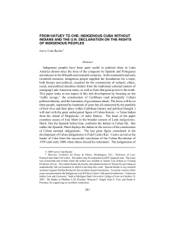 33AmIndLRev201(2009)HatueyChe - Backer-in-Law