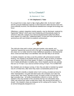 Is It a Cheetah? - Forsyth County Schools