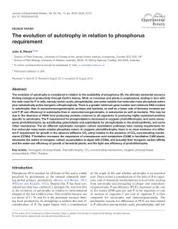 The evolution of autotrophy in relation to phosphorus requirement
