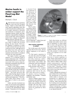 Marine fossils in amber support the Flood Log-Mat Model