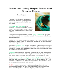 Good Watering Helps Trees and Shrubs Thrive