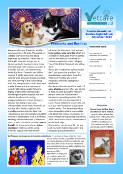 Fireworks and Bonfires