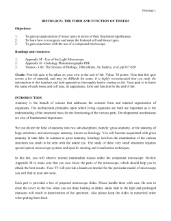 HISTOLOGY: THE FORM AND FUNCTION OF TISSUES Objectives