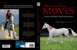 Book Extract From How Your Horse Moves by