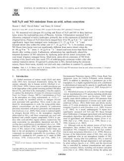 Soil N2O and NO emissions from an arid, urban
