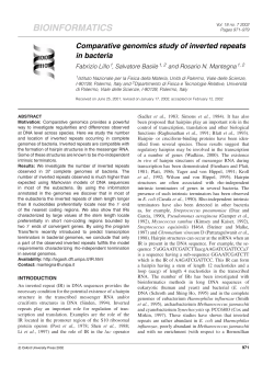 Comparative genomics study of inverted repeats in bacteria
