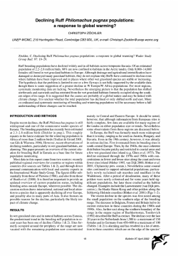 Declining Ruff Philomachus pugnax populations: a response